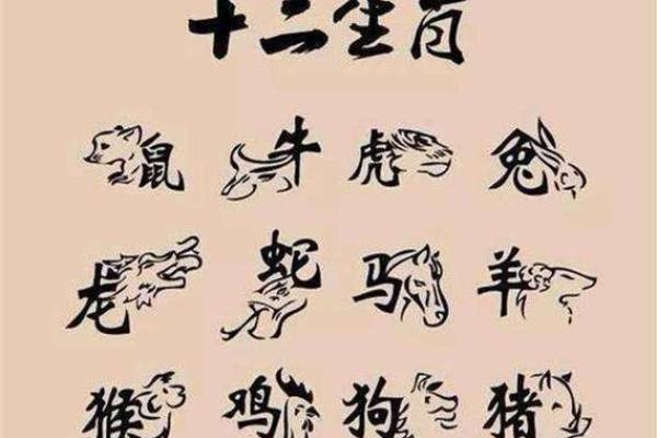 白日做梦打一生肖  词语释义解释落实