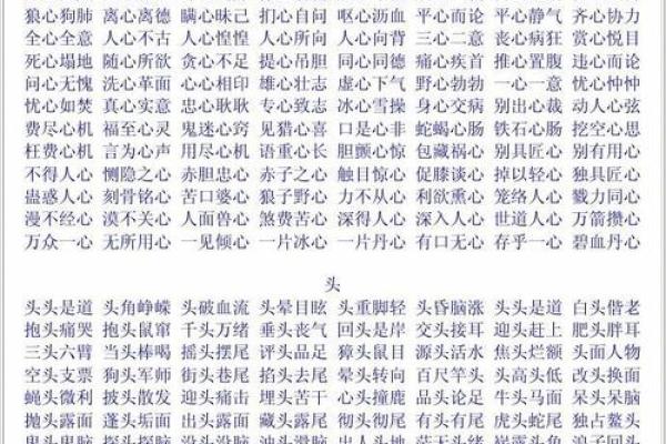 三头六臂打一个生肖  词语释义解释落实