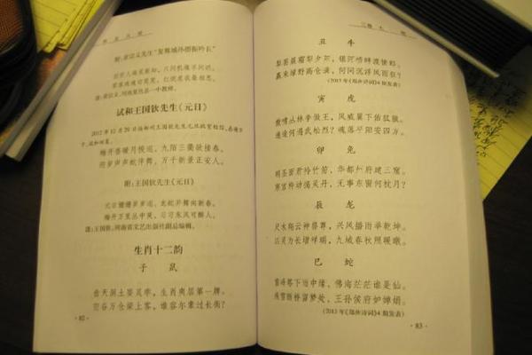 惦念家中一支梅是什生肖  词语释义解释落实