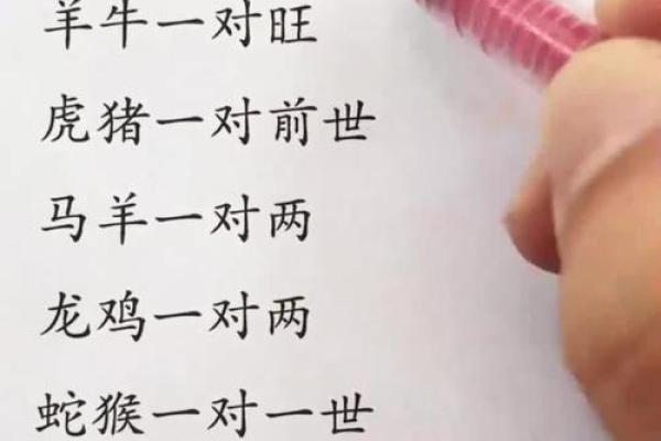 天生一对生肖正确答案  词语释义解释落实