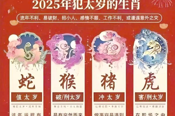 名列前茅打一最佳生肖对应的生肖运势解析与性格匹配  