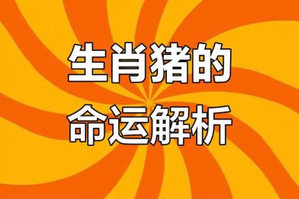 风华正茂的生肖性格特点及运势解析  