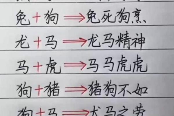 别无选择是什么生肖  词语释义解释落实