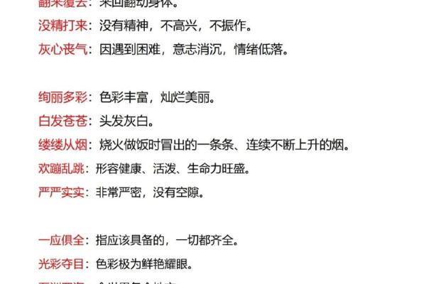 三言两语打一生肖  词语释义解释落实