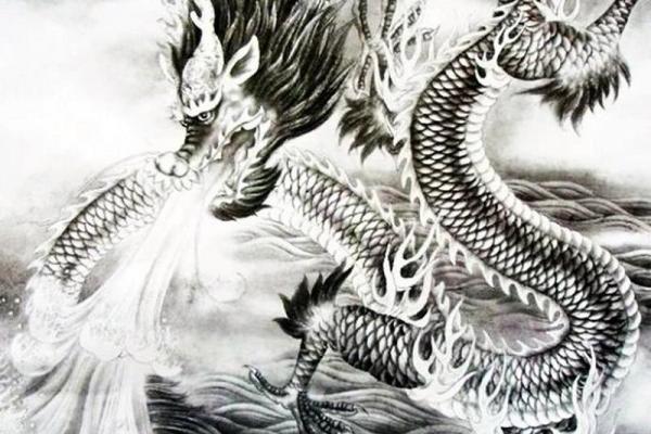 披荆斩棘是什么生肖  词语释义解释落实