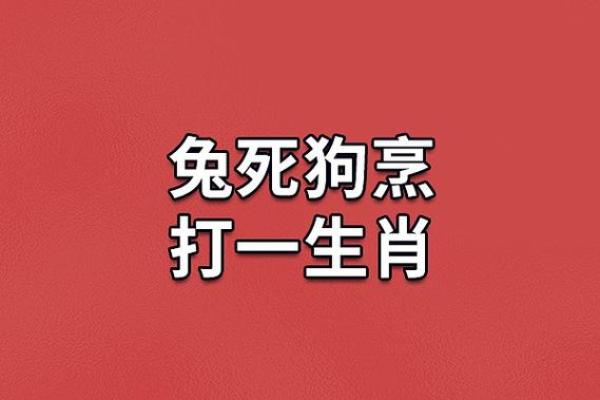 中气十足打一生肖是什么意思  