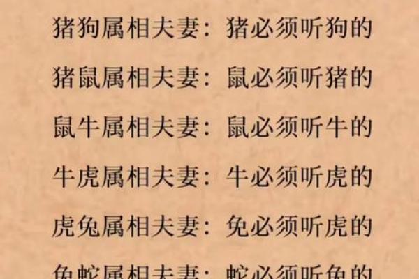 鼠肚鸡肠指的是哪个生肖的性格特点  
