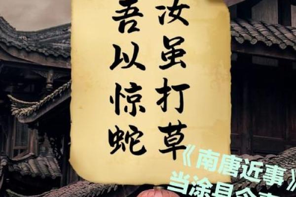 打草惊蛇打一个生肖  词语释义解释落实