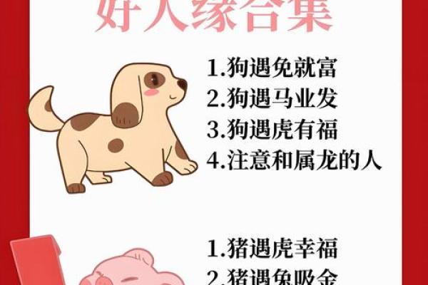 黎民百姓对应的生肖有哪些文化寓意和民间传说  