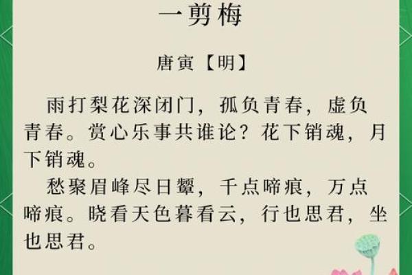 雨打梨花什么意思  词语释义解释落实