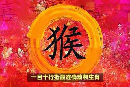 一目十行对应的生肖是什么如何提升阅读速度  