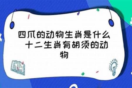 和尚敲钟三更起对应的生肖是什么  