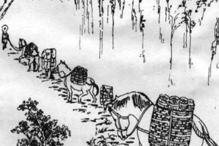 李代桃僵的生肖含义及民间传说解析  
