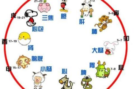 眼高手低的性格特点对应什么生肖  