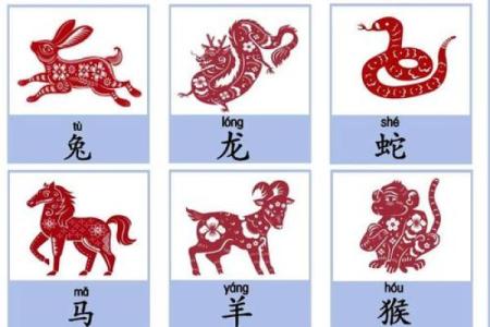 走马观花指的是十二生肖中的哪一个动物  