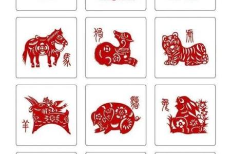 隔岸观火指的是哪个生肖有什么寓意和象征  