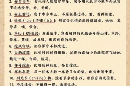 皓月千里是什么生肖  词语释义解释落实