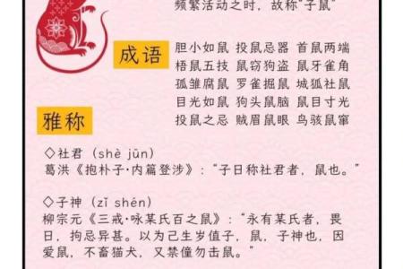 臭名远扬是什么生肖  词语释义解释落实