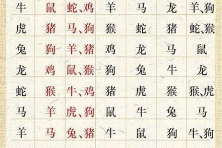 神州大地对应的生肖是什么  