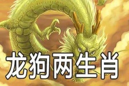一战成名代表什么生肖，有什么说法和依据  