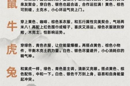 一目十行是什么生肖  词语释义解释落实