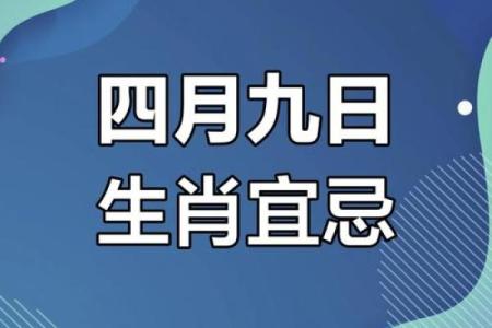 穿街过巷打一生肖是什么答案及详细解析  