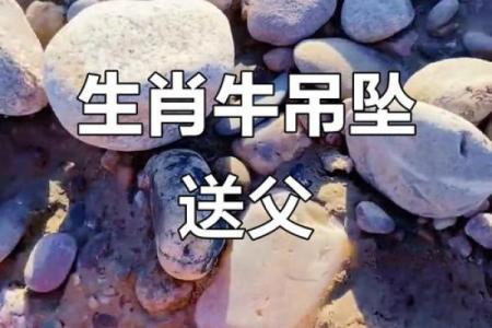 掌上明珠是什么生肖  词语释义解释落实