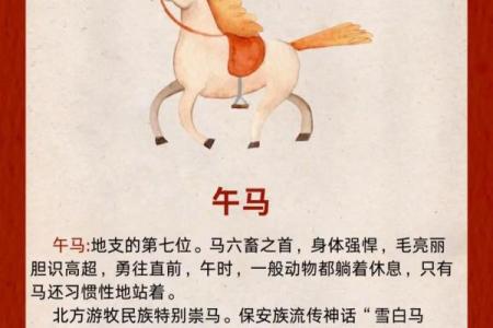 重出江湖代表什么生肖 今年运势如何  