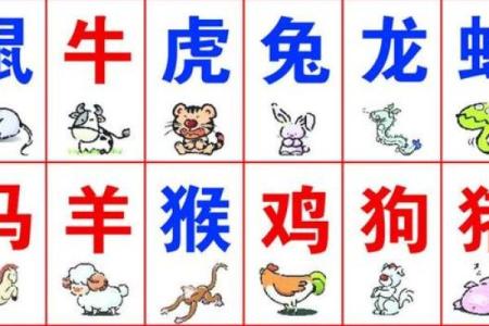 瞻前顾后打一个生肖  词语释义解释落实