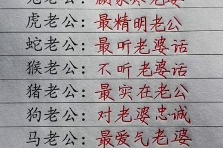 经纶满腹打一生肖的谜底是什么生肖  