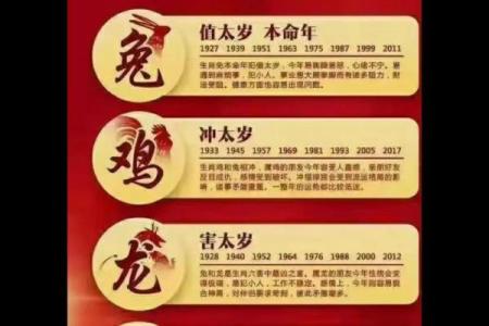 2023年属龙要出大事  词语释义解释落实