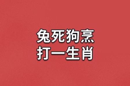 中气十足打一生肖是什么意思  