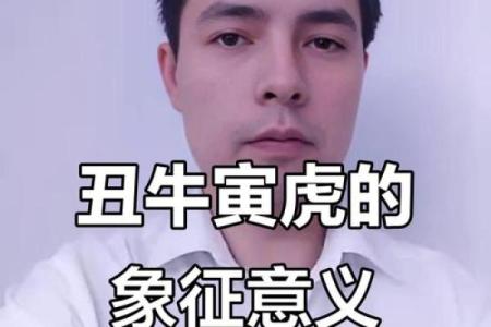接不上茬的生肖谜语解析及对应性格分析  