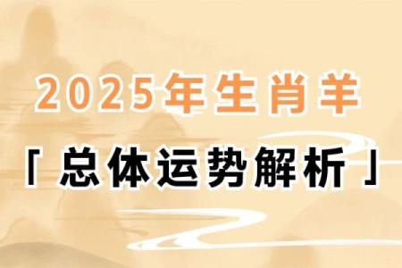 属羊的人今年运势如何与年龄有什么关系  
