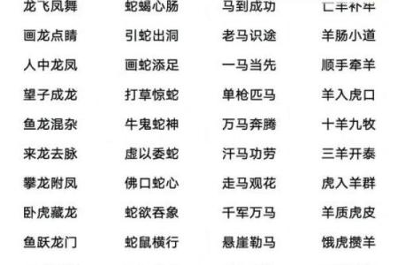 斤斤计较是什么生肖  词语释义解释落实