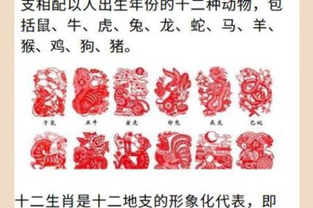 浴血奋战在十二生肖中代表哪个动物  