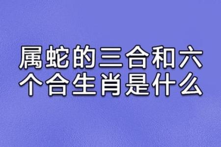 龙血玄黄对应的生肖是什么怎么判断自己的属相是否匹配  
