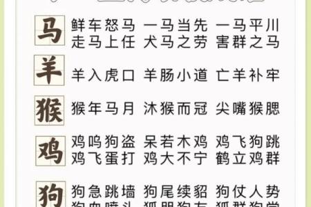 寸步不离是什么生肖  词语释义解释落实