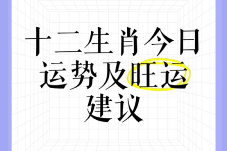 呼风唤雨对应的生肖性格特点和运势解析  