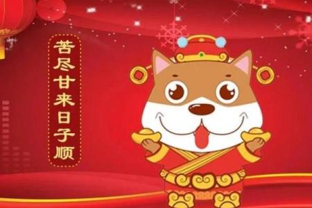 忠厚老实最吃苦的生肖在职场中如何避免被欺负  