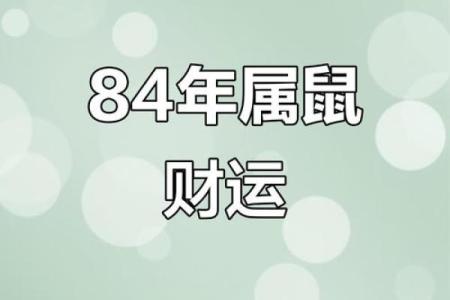 1984年属鼠的人今年运势如何  