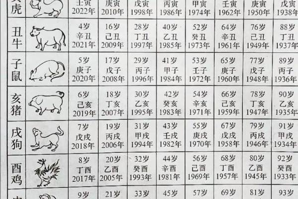 2010年出生的人属什么生肖  