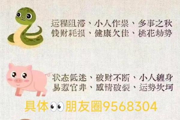 口无遮拦的人通常代表哪个生肖性格特点  