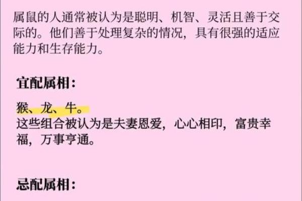 二八佳人指的是哪个生肖属相  