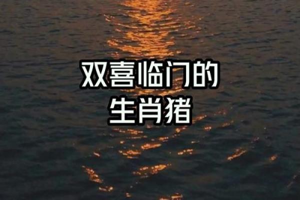 双喜临门指的是哪两个生肖组合最吉利  