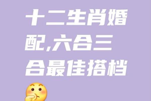 双喜临门指的是哪两个生肖组合最吉利  