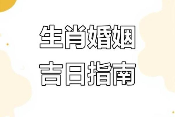 艳阳高照对应的生肖性格特征和运势解析  