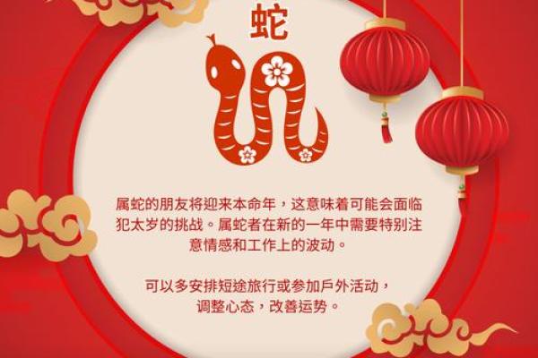 2020年农历新年对应的生肖是什么  