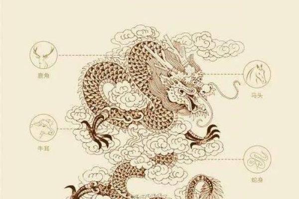 来龙去脉打一生肖的谜底是什么生肖  
