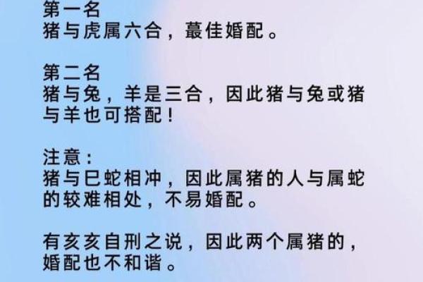 宛然如生打一生肖最可能对应的生肖动物解析  